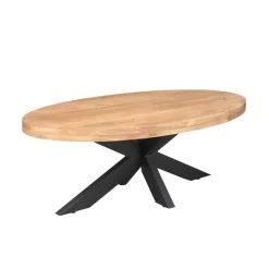 Alaska Salontafel Ovaal Mangohout 130cm