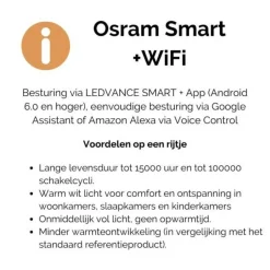Led lamp Kooldraad bol 12,5cm Osram Smart+WiFi Meerkleurig
